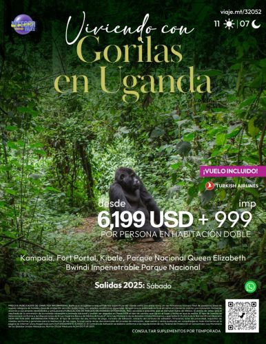 VIVIENDO CON GORILAS EN UGANDA